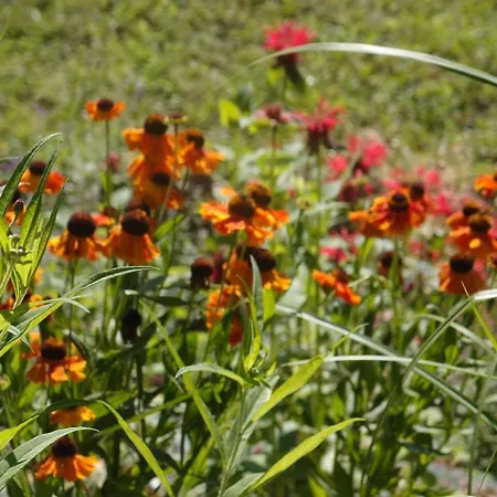 Au Chateau, Luby- Betmont *