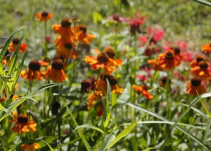 Au Chateau, Luby- Betmont *